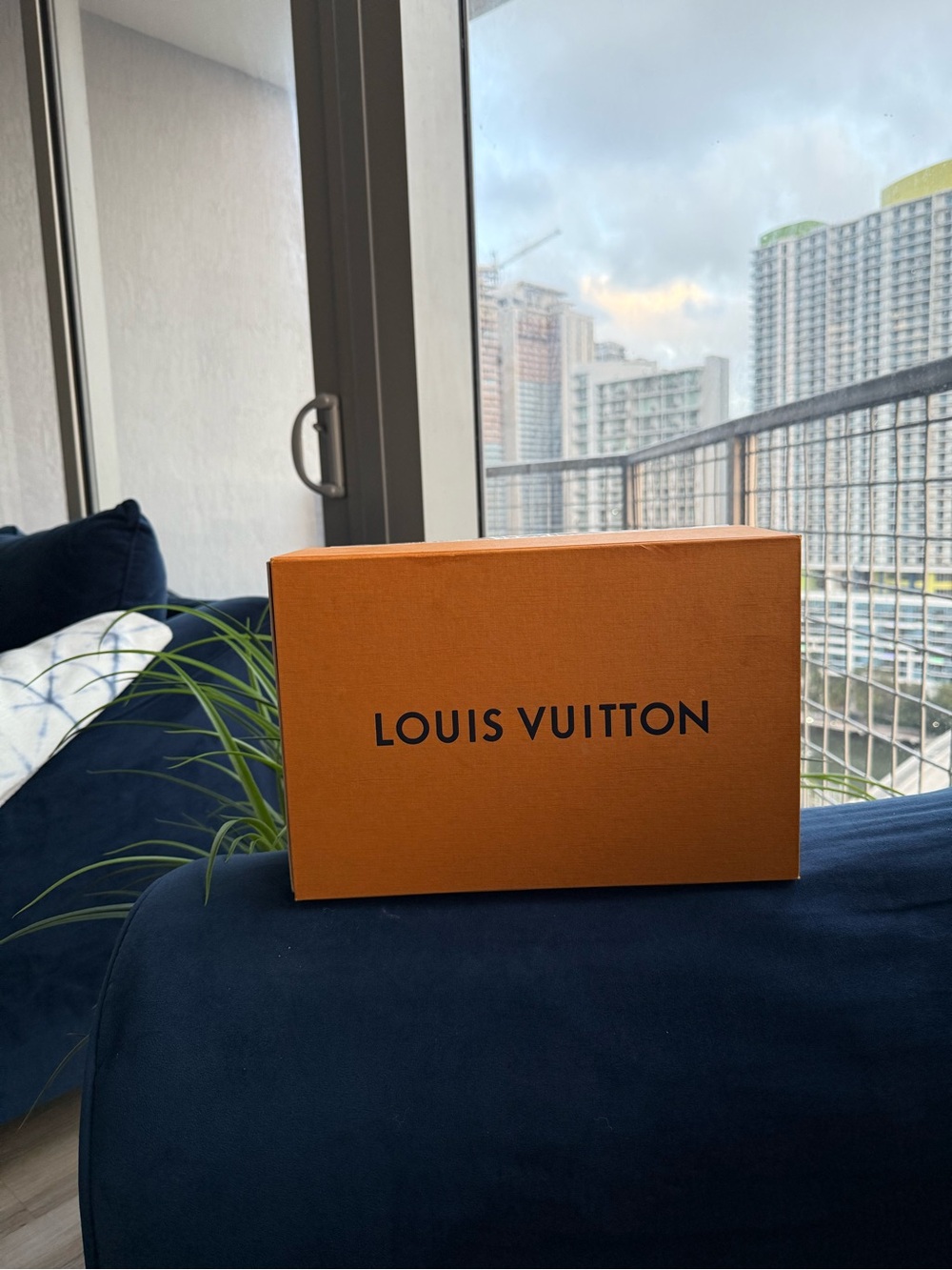 Louis Vuitton Sneakers